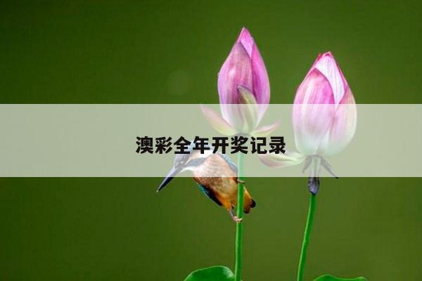 澳彩全年开奖记录/2025年开奖记录查询