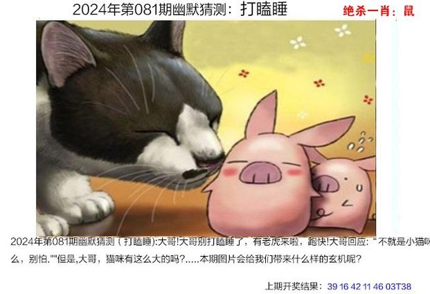 2024年澳门今晚开奖号码管家婆,最佳精选数据资料_手机版24.02.60