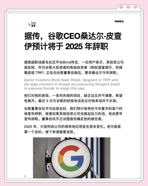 谷歌CEO谈搜索已死,谷歌搜索创始人