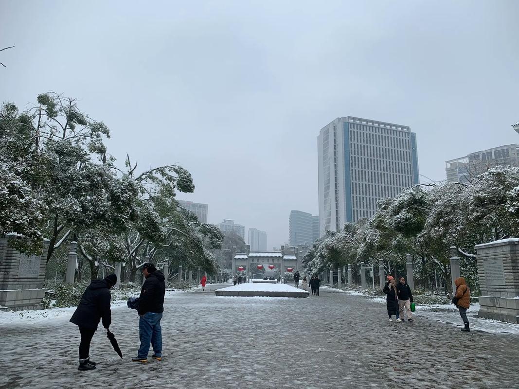 武汉大学校门被淹,武汉大学校门被淹了吗