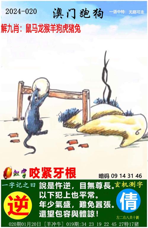 2025新澳门正版免费挂牌和600一节课教狗如厕与
