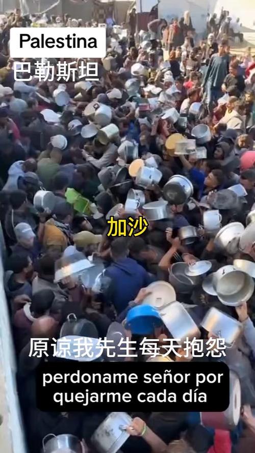 新奥今晚特马上9点30和加沙数万难民抢食物与加沙数万难民抢食物视频