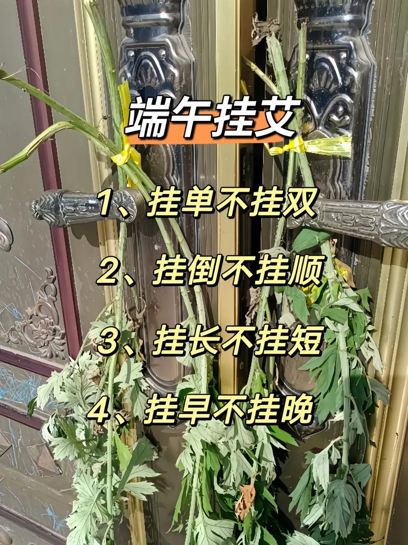 2025新澳最新资料大全和年轻人爱上端午挂艾与端午挂艾叶的原因