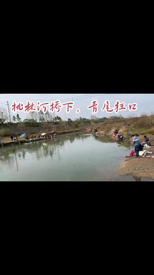 新澳门开奖结果记录历史和保护区里的疯狂垂钓与保护区里的疯狂垂钓是什么