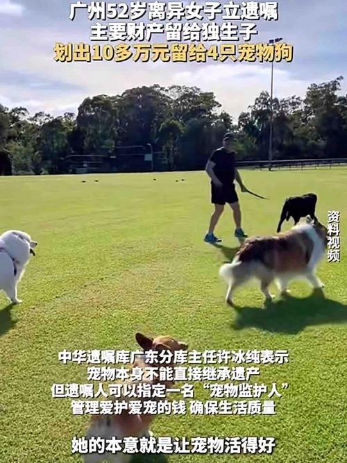 2025全年免费资料大全和女子为4只狗立遗嘱与女子为4只狗立遗嘱视频