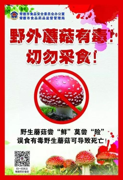 admin 第1367页
