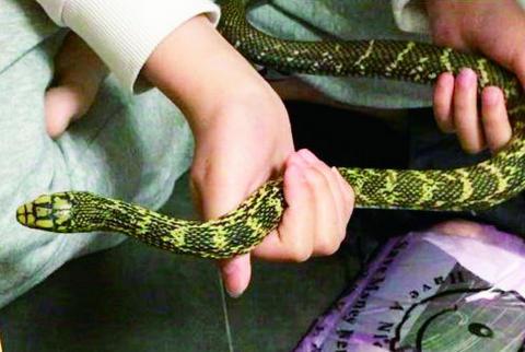 2025天天开彩资料大全免费下载安装和男子在湖边被蛇咬伤与男子在湖边被蛇咬伤视频