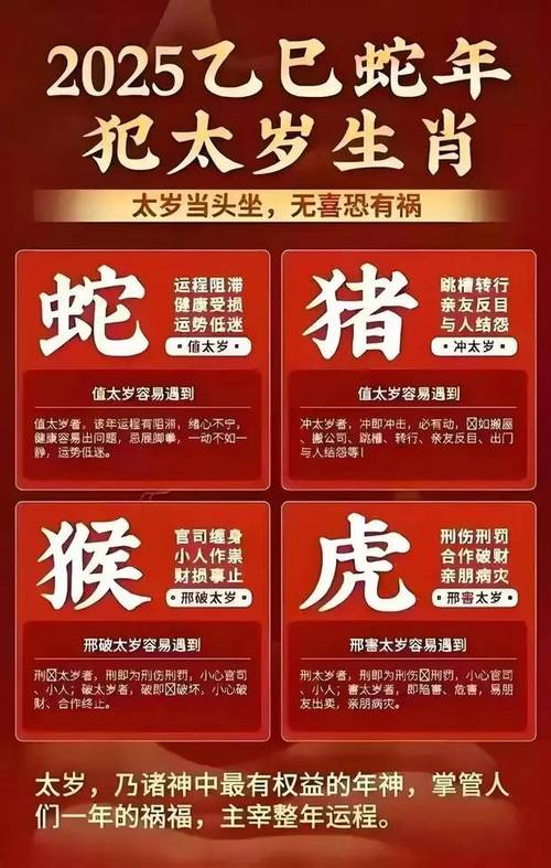新澳门2025年开奖记录和被蛇咬反抓蛇再遭咬与被蛇咬反抓蛇再遭咬伤