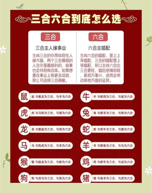 新2025澳门天天开好彩十二生肖图和把给鸡吃的米给人吃与把给鸡吃的米给人吃好吗