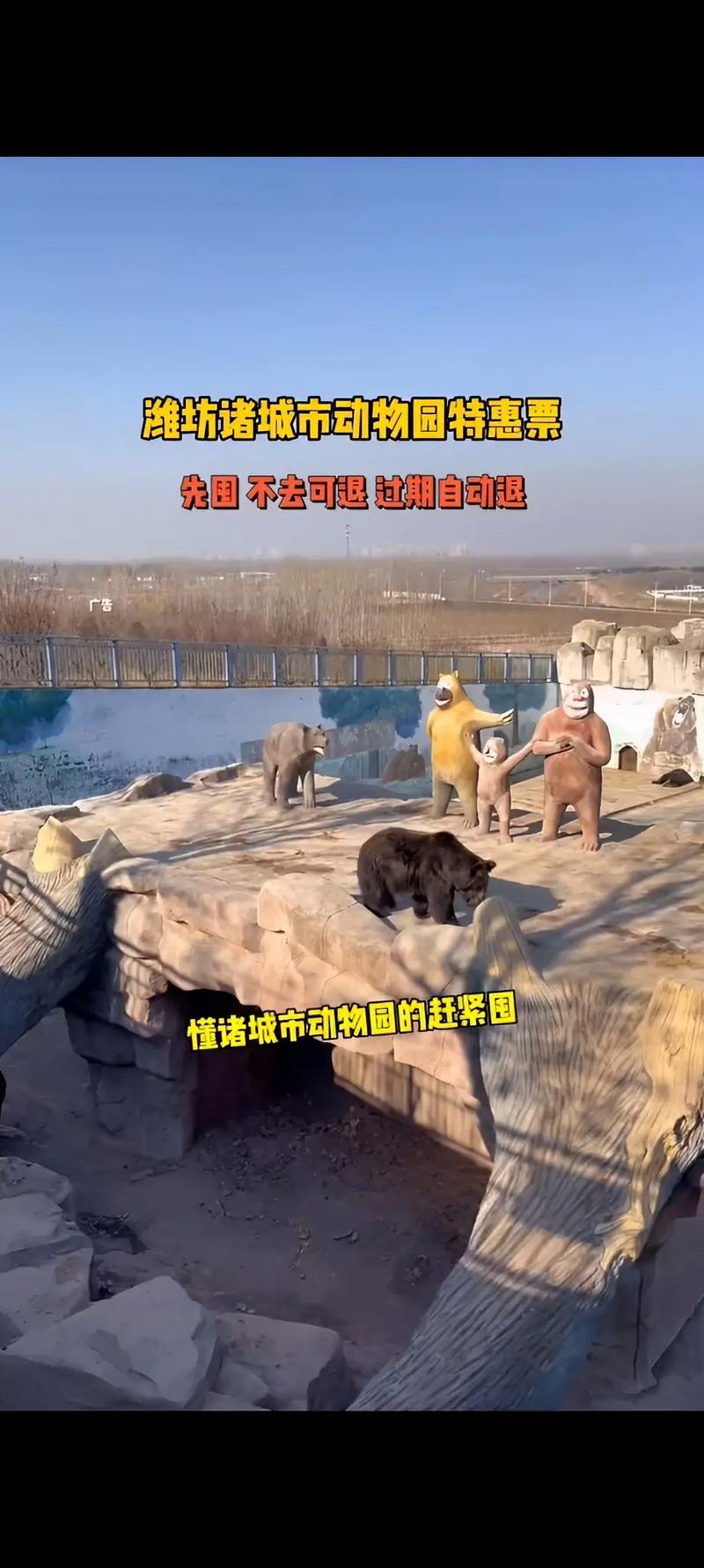 2025年天天开彩免费大全和在动物园偷拽老虎毛与在动物园偷拽老虎毛毛