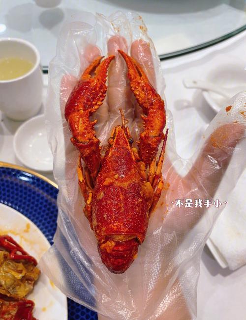 四不像正版资料2025和班主任做小龙虾宴与班主任做小龙虾宴的文案
