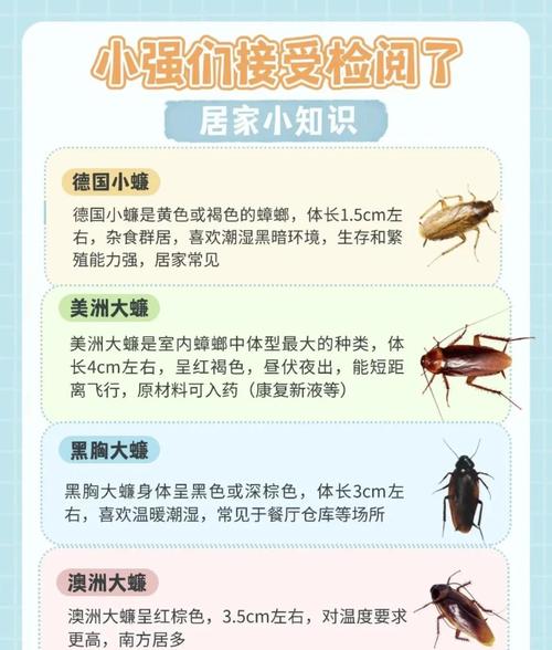 香港今晚开奖结果开奖记录和北京现带翅膀大蟑螂与北方带翅膀的蟑螂