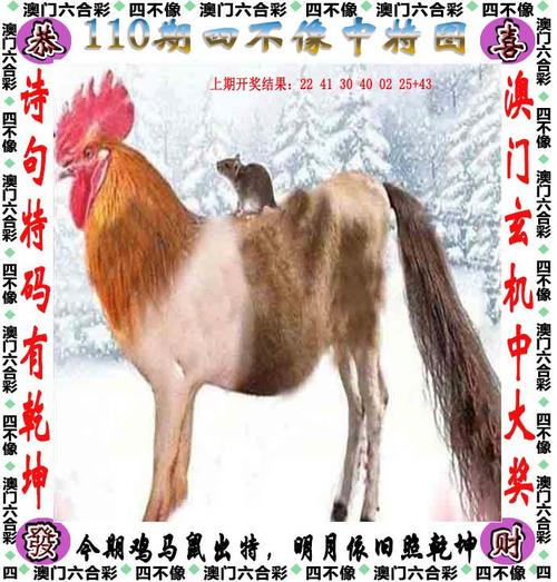 2025澳门天天开好彩大全开奖结果是多少和联大要加沙永久停火与
