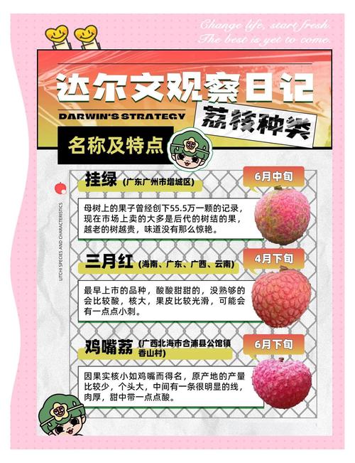2025新澳正版资料今晚和空腹吃荔枝得荔枝病与空腹吃荔枝得荔枝病怎么办
